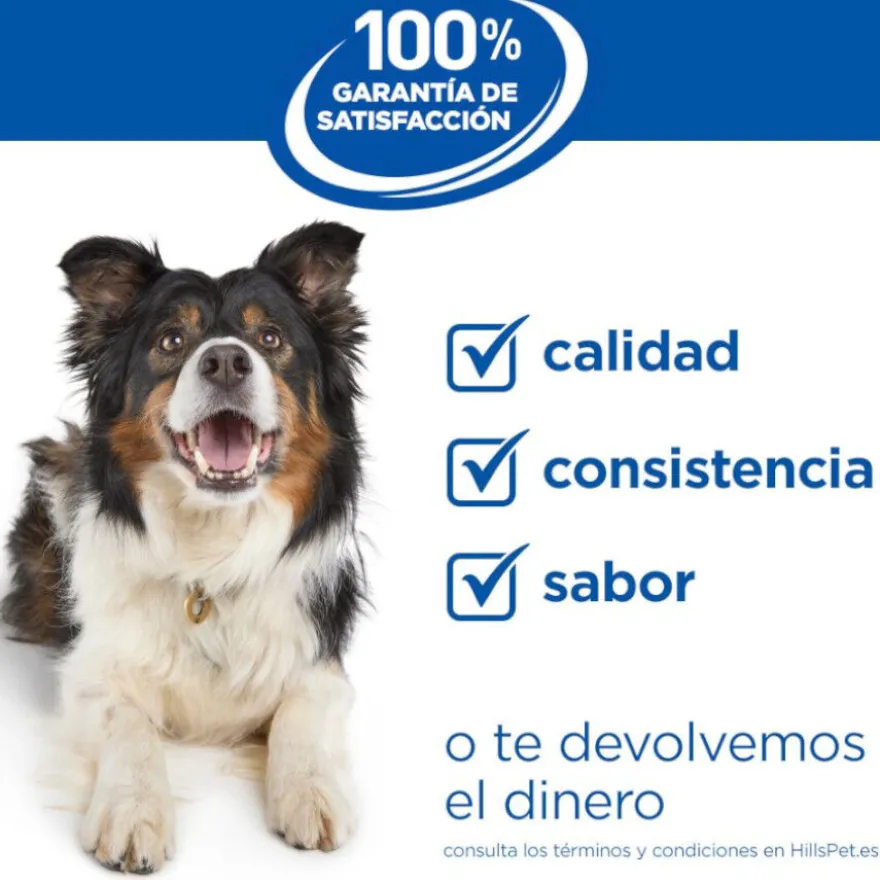 Hill's Science Plan Perfect Weight Adult Large Pollo pienso para perros