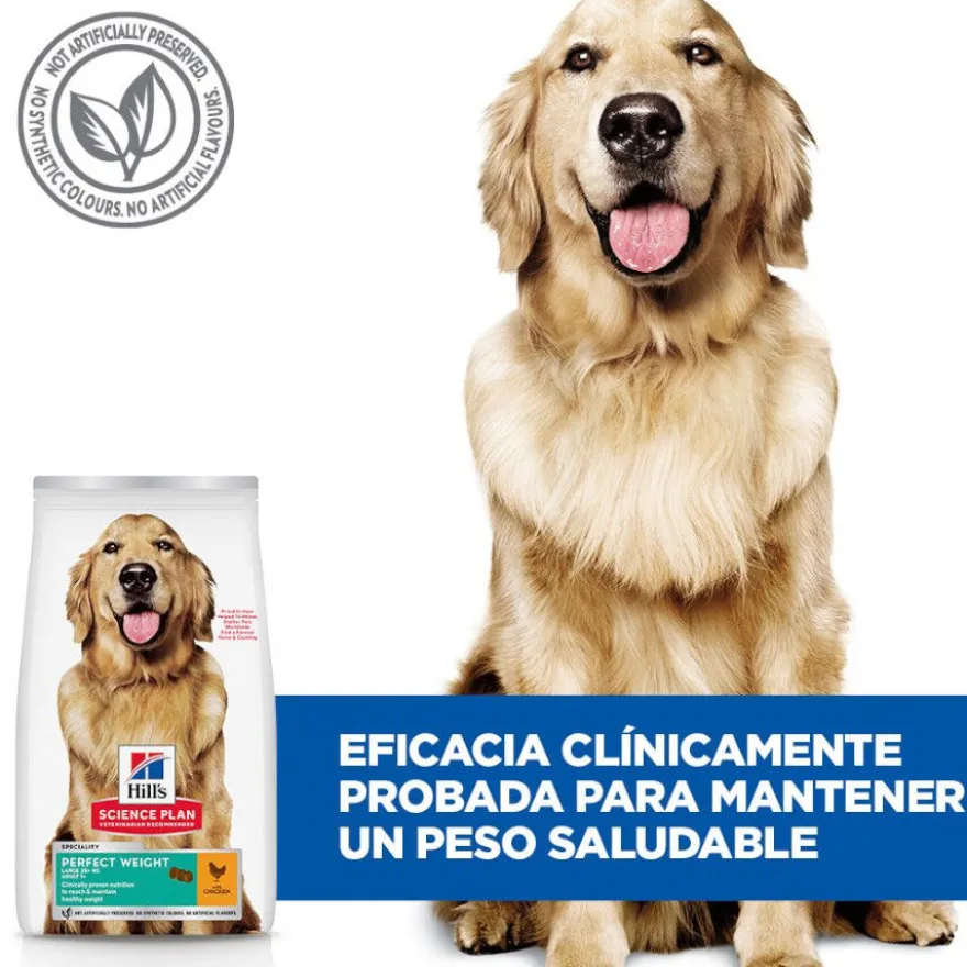 Hill's Science Plan Perfect Weight Adult Large Pollo pienso para perros