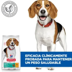 Hill's Science Plan Perfect Weight Adult Medium Pollo pienso para perros