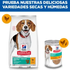 Hill's Science Plan Perfect Weight Adult Medium Pollo pienso para perros
