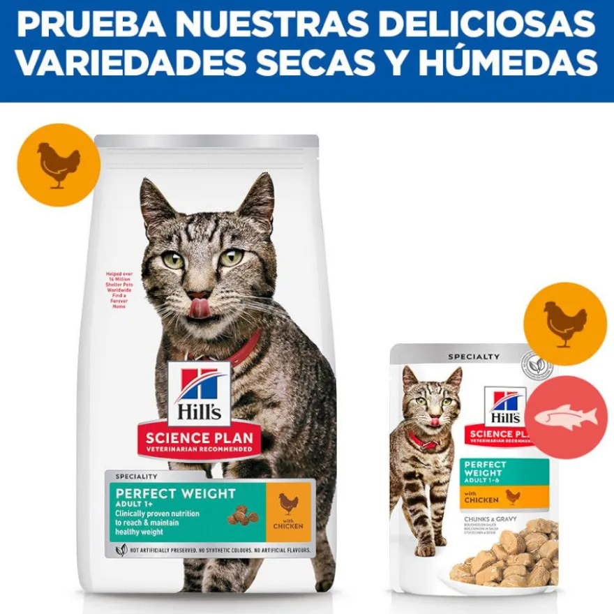 Hill's Science Plan Perfect Weight Adult pollo pienso para gatos