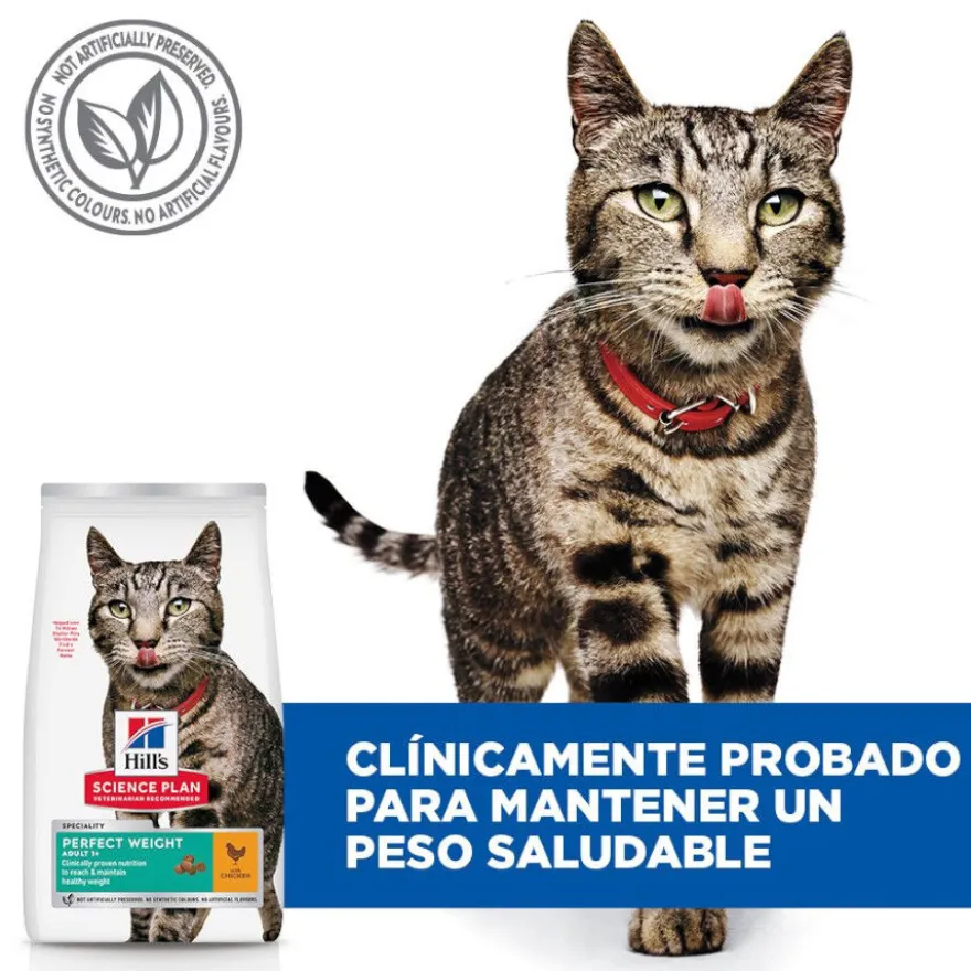 Hill's Science Plan Perfect Weight Adult pollo pienso para gatos