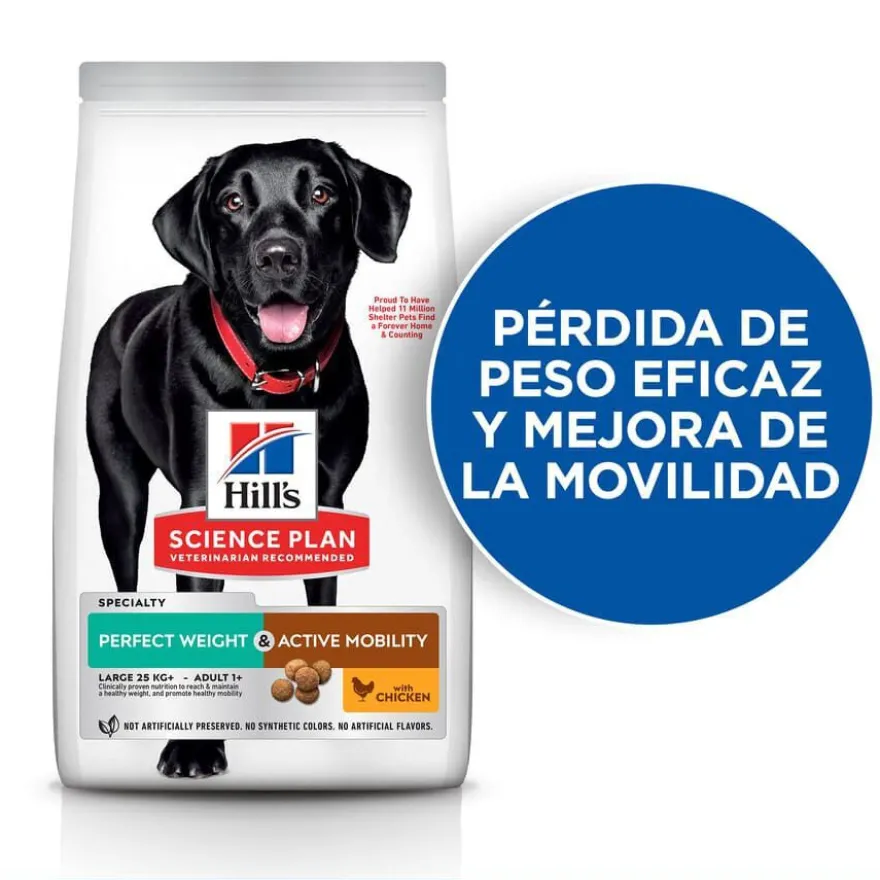 Hill's Science Plan Perfect weight y Active Mobility pollo pienso para perros grandes