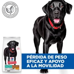 Hill's Science Plan Perfect weight y Active Mobility pollo pienso para perros grandes