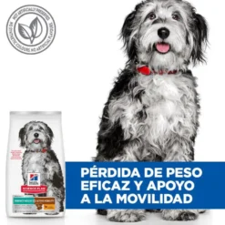 Hill's Science Plan Perfect Weight y Active Mobility pollo pienso para perros medianos