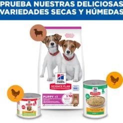 Hill's Science Plan pienso cordero y arroz para cachorros de razas pequeñas y mini
