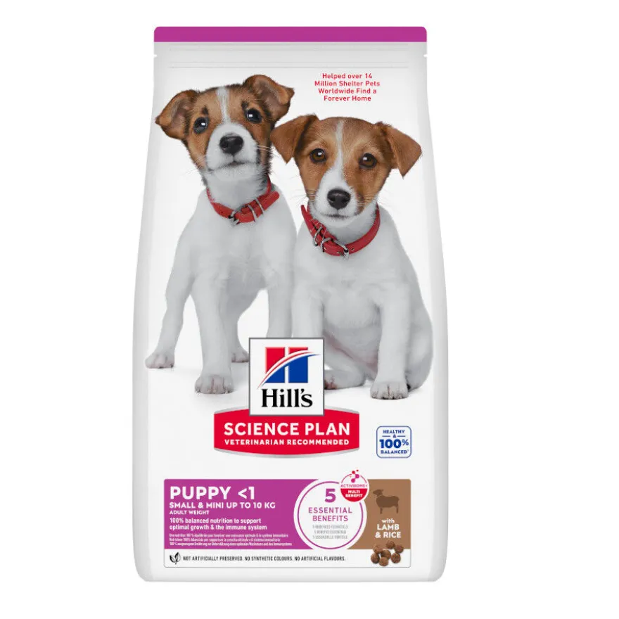 Hill's Science Plan pienso cordero y arroz para cachorros de razas pequeñas y mini