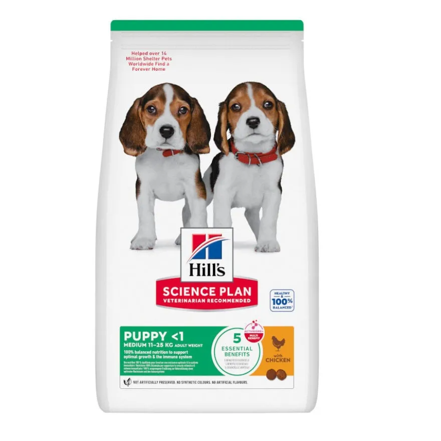 Hill's Science Plan pienso pollo para cachorros de razas medianas