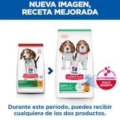 Hill's Science Plan pienso pollo para cachorros de razas medianas