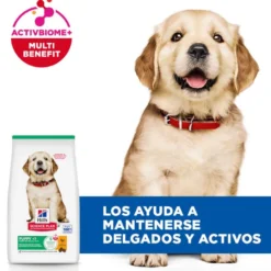 Hill's Science Plan pienso pollo para cachorros de razas grandes