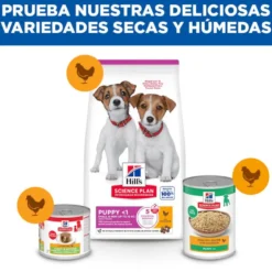 Hill's Science Plan pienso pollo para cachorros de razas mini