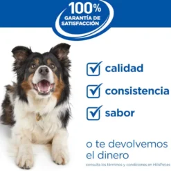 Hill's Science Plan pienso pollo para perros mayores de razas grandes