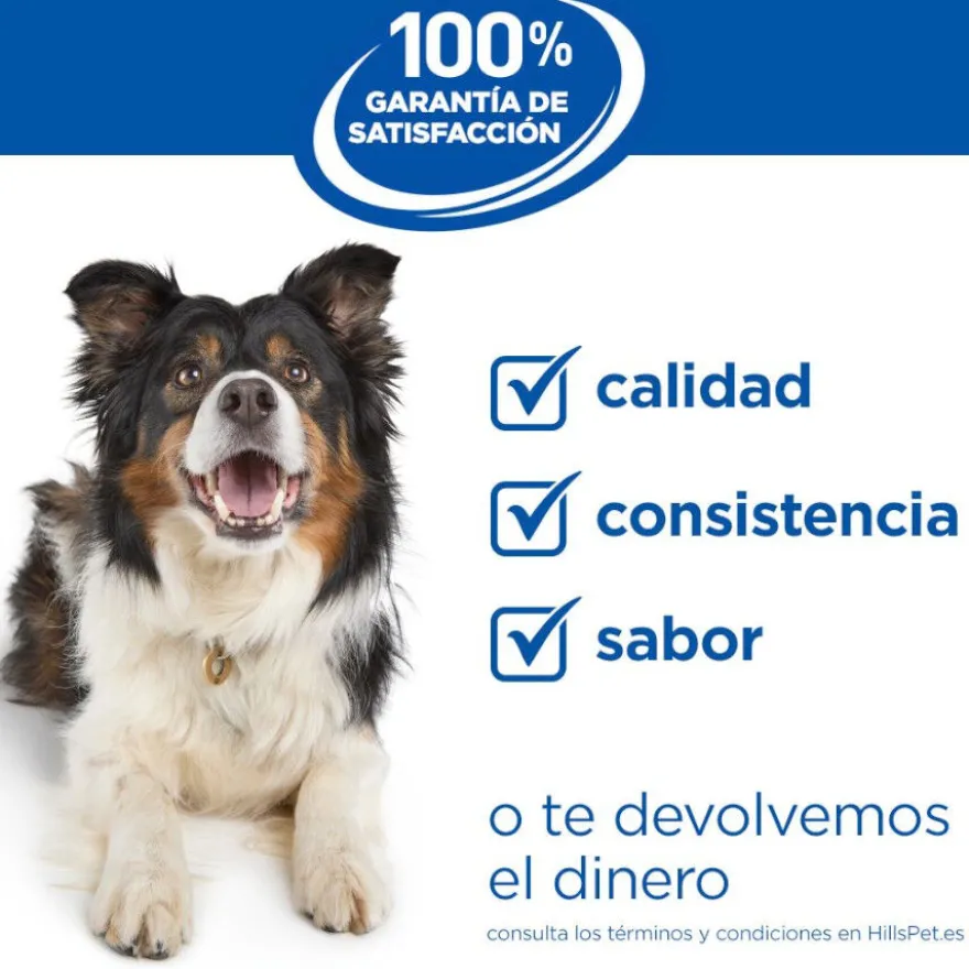 Hill's Science Plan pienso pollo para perros mayores de razas grandes