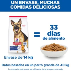 Hill's Science Plan pienso pollo para perros mayores de razas grandes