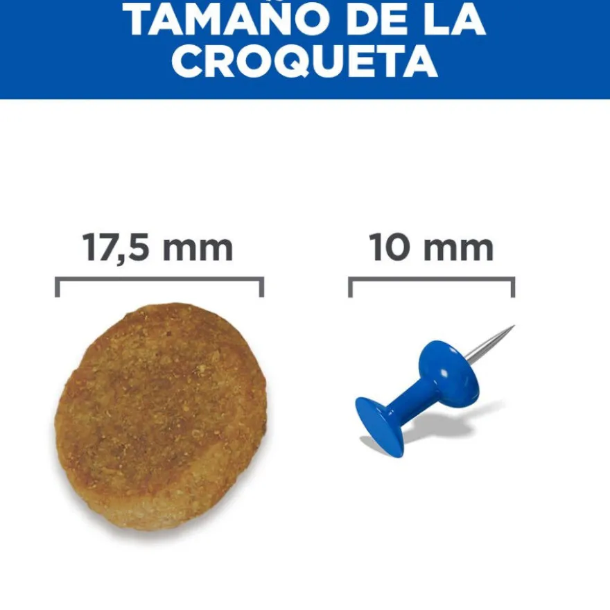 Hill's Science Plan pienso pollo para perros mayores de razas grandes