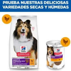 Hill's Science Plan Sensitive Stomach y skin Adult Pollo pienso para perros