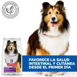 Hill's Science Plan Sensitive Stomach y skin Adult Pollo pienso para perros