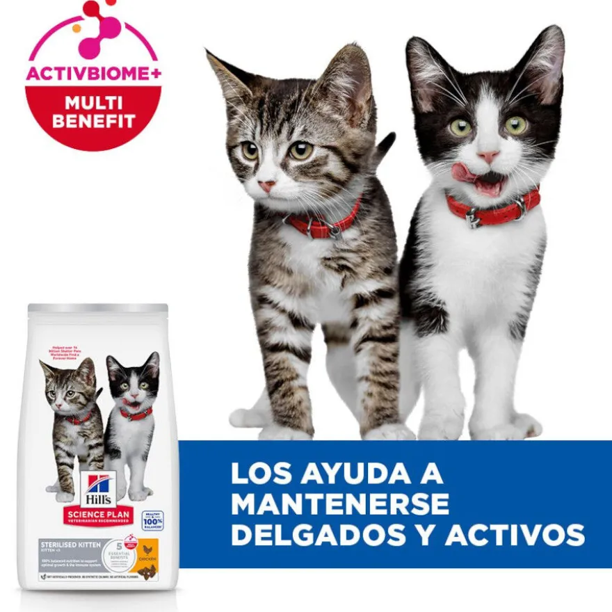 Hill's Science Plan Sterilised Kitten Pollo pienso para gatos
