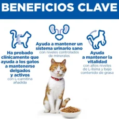 Hill's Science Plan Sterilised pienso pollo para gatos adultos esterilizados