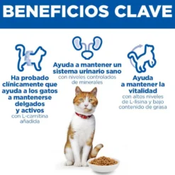 Hill's Science Plan Sterilised pienso salmón para gatos