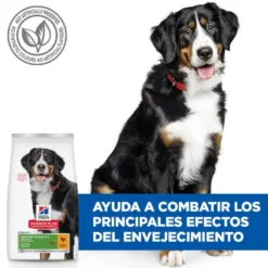 Hill's Science Plan Youthful vitality Large pienso para perros