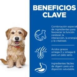 Hill's Science Plan Youthful Vitality Adult +7 Small y Mini Pollo pienso para perros