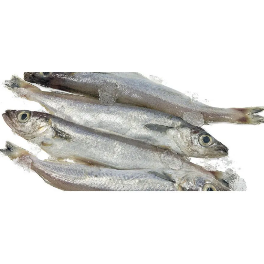 Hobbitalf La Pescadería Lirios para perros