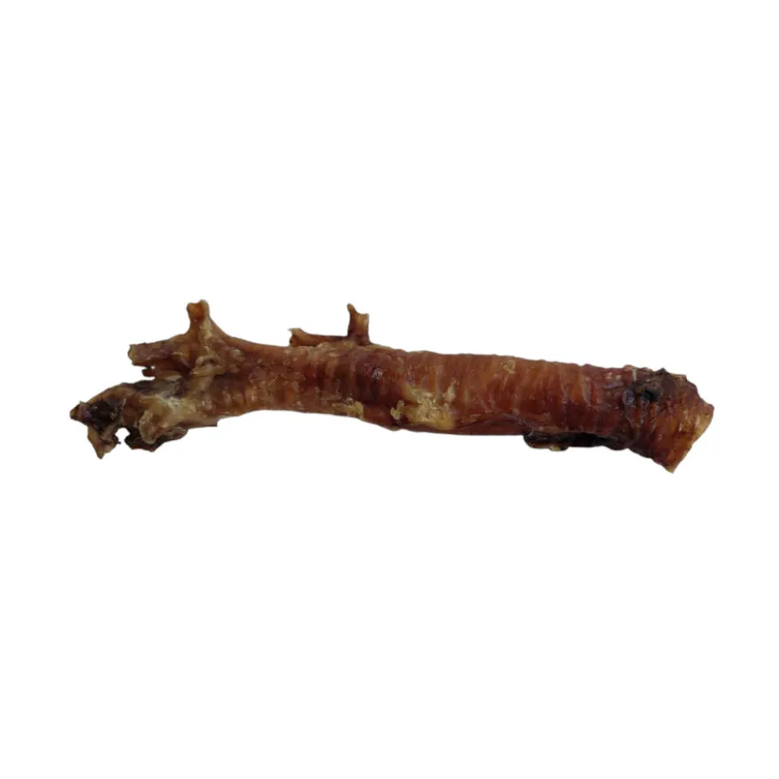 Hobbitalf Tráquea de Cerdo para perros