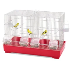 Imac Cova 55 Jaula con Divisor para pájaros