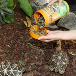 JBL Proterra Herbil alimento para tortugas