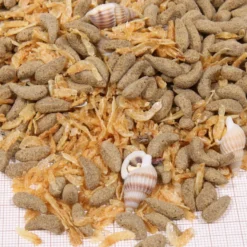 JBL Pro Terra Molluscus alimento para tortugas