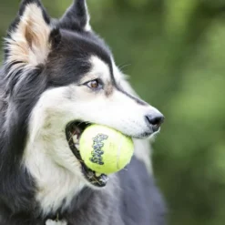 Kong Air Pelota de tenis con sonido para perros