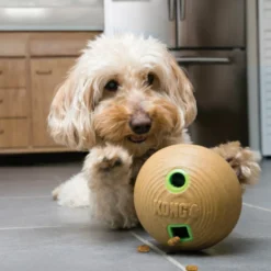 Kong Bamboo Pelota Portagolosinas para perros