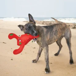 Kong Belly Flops Langosta de juguete para perros