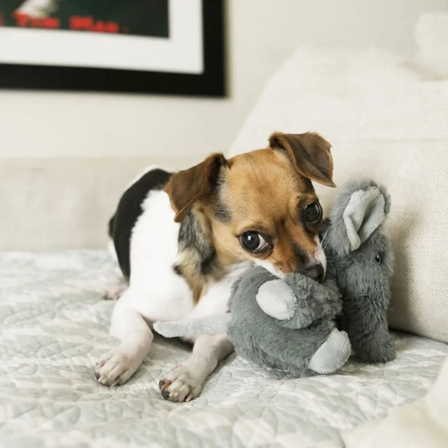 Kong Comfort Kiddos Elefante de peluche para perros