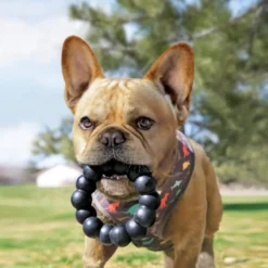Kong Extreme Ring mordedor para perros