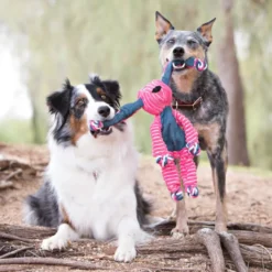 Kong Floppy Knots Conejo de Peluche para perros