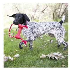 Kong Goodie Bone Hueso con cuerda para perros