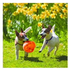 Kong Jumbler pelota en colores surtidos para perros