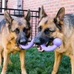 Kong Ogee Curvas Mordedor para perros