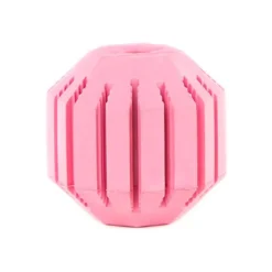 Kong Puppy Activity pelota