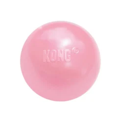 Kong Puppy pelota con orificio para perros