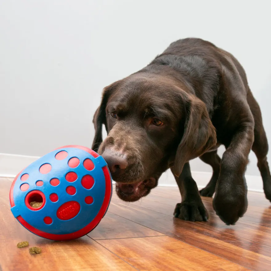 Kong Rewards Wally Juguete para perros
