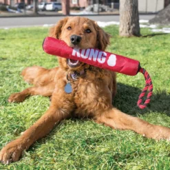 Kong Signature Palo con Cuerda para perros