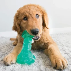 Kong Squeeze Dental Stick juguete para perros
