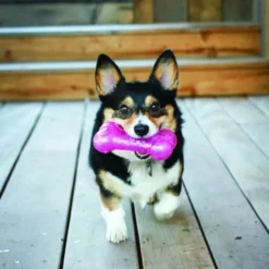 Kong Squeezz Crackle hueso para perros