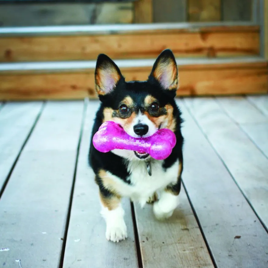 Kong Squeezz Crackle hueso para perros