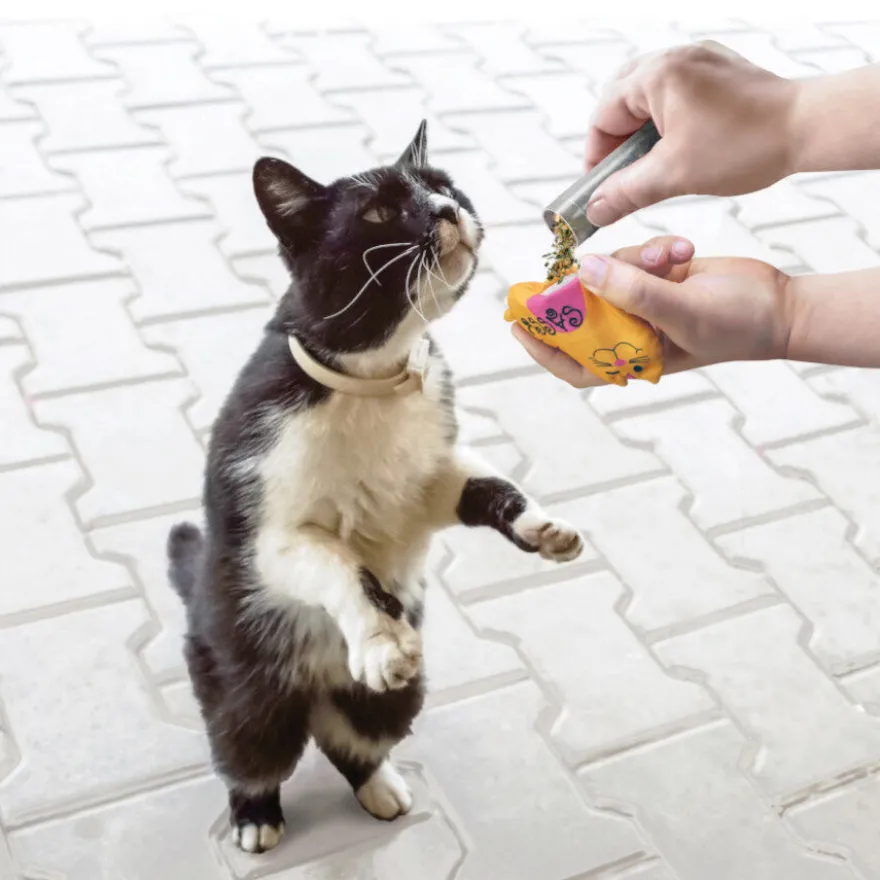 Kong Tubos Recargables con Catnip para gatos
