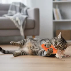 Kong Zanahoria con Catnip de peluche para gatos