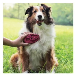 Kong Zoom Groom Cepillo de goma rosa para perros